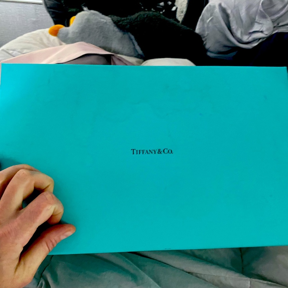 Huge Authentic Tiffany & Co. Box can fit 3+ champ flutes in it LIKE NEW